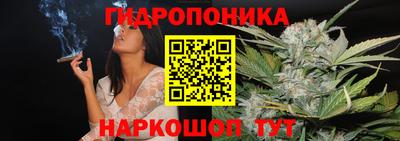 мдма Гусев