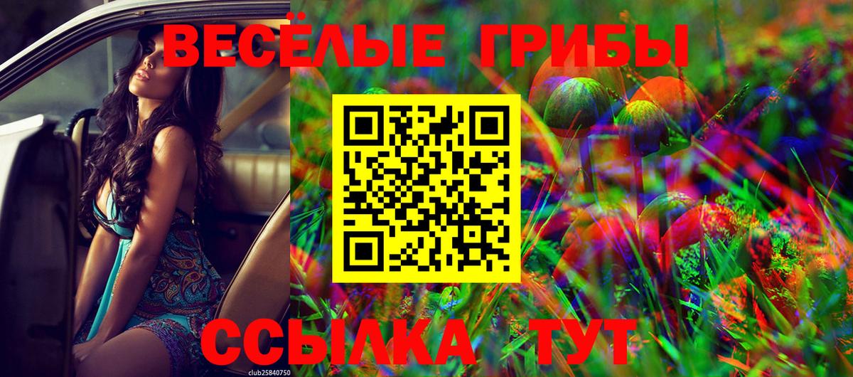 Моздок  закладка  Вход с VPN  Галлюциногенные грибы Psilocybe 