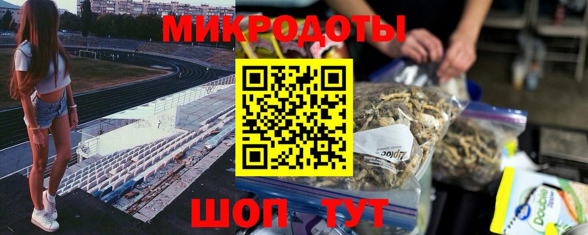 Псилоцибиновые грибы Psilocybe Моздок